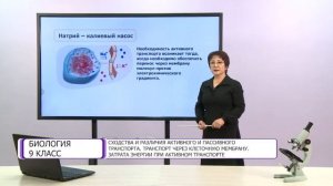 Биология. 9 класс. Сходства и различия активного и пассивного транспорта