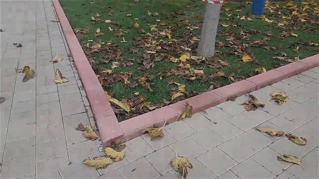КИПР 2021. РУССКОЕ РОЖДЕСТВО НА КИПРЕ