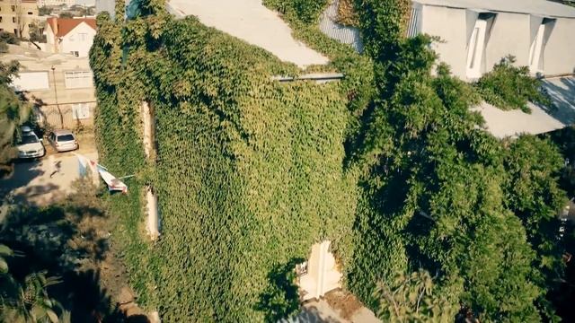 Сборы спортсменов Киокушинкай | ИЮНЬ 2021 г. смотреть онлайн