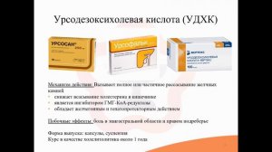 31.2. Печень. Желчегонные средства, холелитолитики, гепатопротекторы