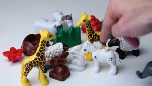 Lego Duplo Zoo Animals