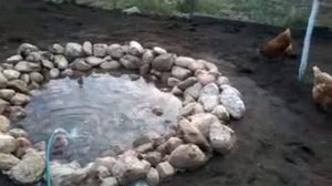 Пруд для уток своими руками Дешево и просто часть 2