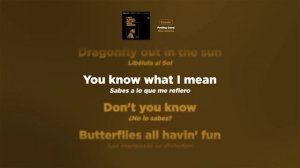 Nina Simone - Feeling Good - Karaoke