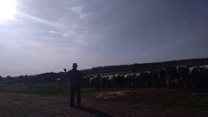 Село Байково Починковский район ч.4