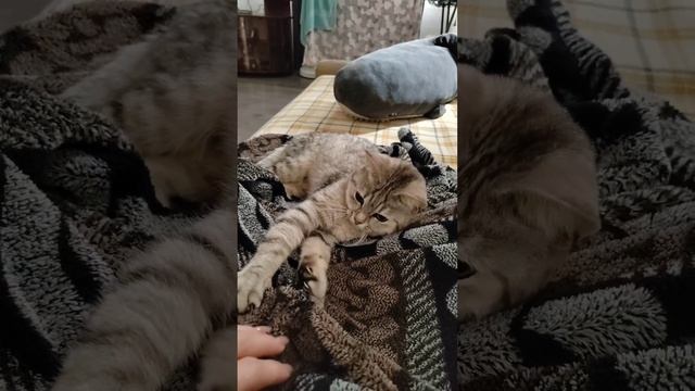 VID_20230610_100022_538.mp4