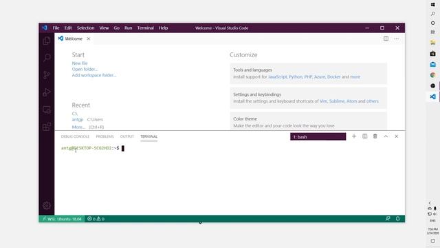 Язык Си. 013. VSCode  WSL.