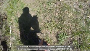 Рыбалка.Хариус в Оренбургской обл.
