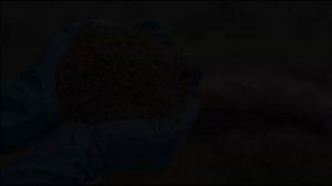 Как удобрить землю осенью?