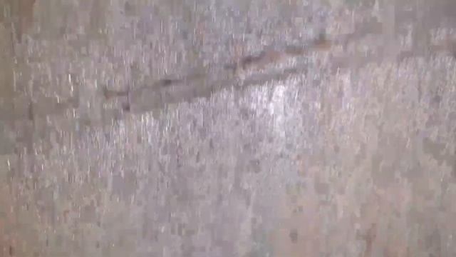 podkapaev. дер. Рождественно. А ,кто там глаголит , что донный фильтр не нужен!? Уже третий. смотреть онлайн