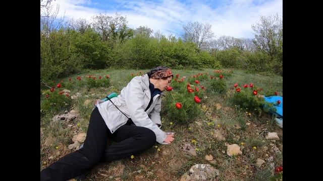 10 дней в горах без еды смотреть онлайн