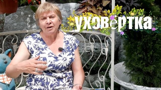 Мокрица и уховертка ➡ Насекомые в саду ? Польза или вред?