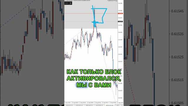 NZDUSD 1к13 12.09.2024