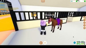 Roblox Horse Valley. Игра симулятор лошадей!