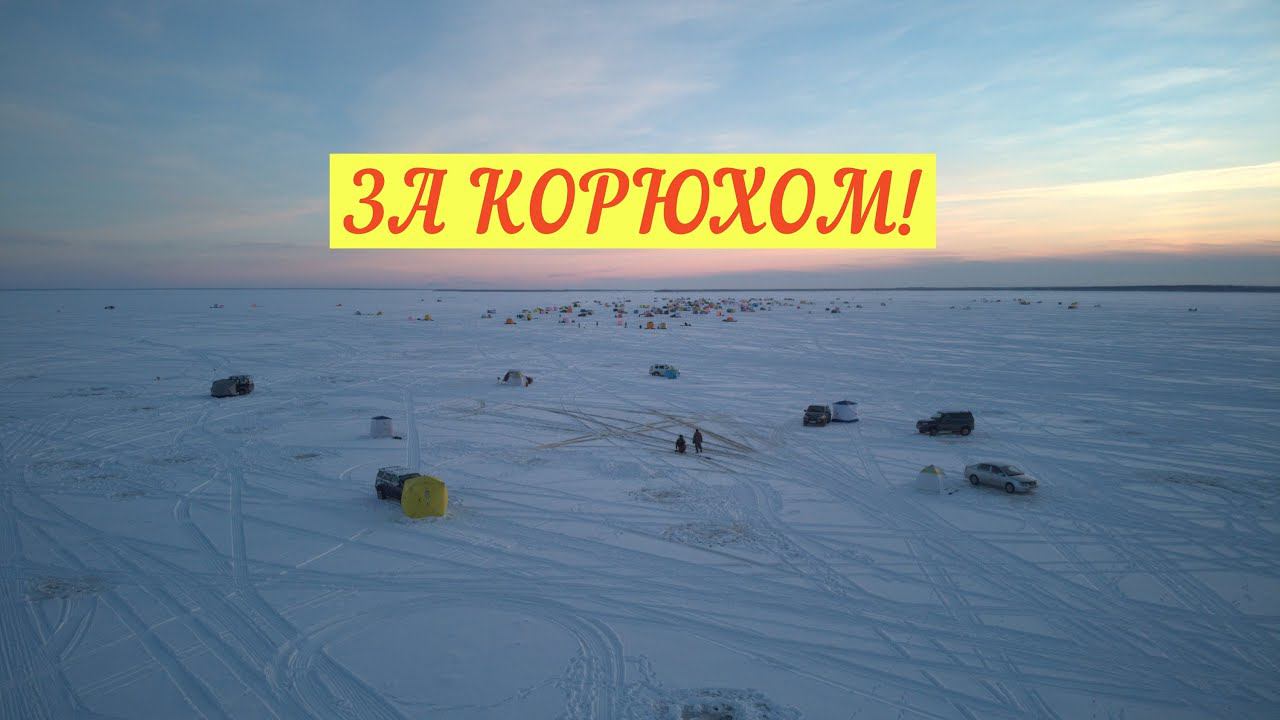ЗУБАРЬ ЛЮТУЕТ/ЛОВИМ КОРЮХУ/БЕЛОЕ МОРЕ