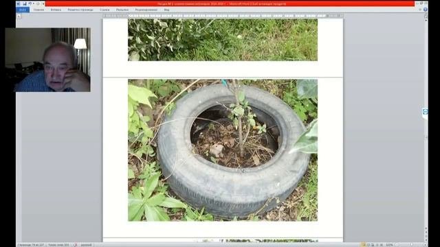 01 ч 05 Мои методы открытия и опыт в садоводстве.mp4