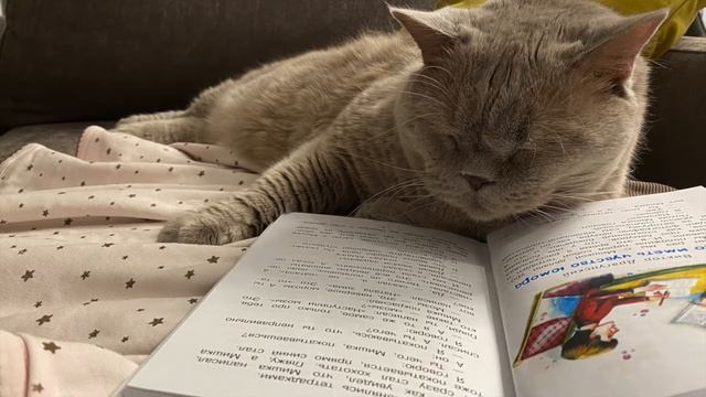 До первого дождя Валентина Осеева смотреть онлайн