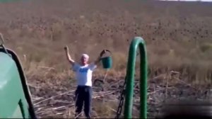 Уборка подсолнечника 2018 г.Джон Дир 9640