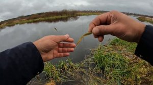 Окунь на джиг осенью. Рыбалка на малой реке. Рыбалка в Тверской области.