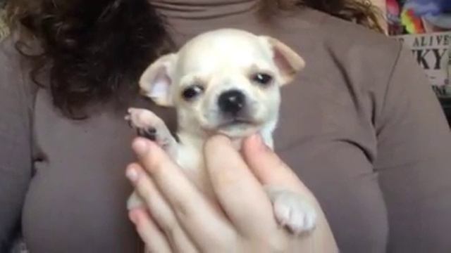 мальчик большой 1 месяц смотреть онлайн