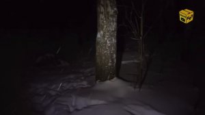 📦 Фонарь-светильник NITECORE NWL20 💡 - Бюджетный и ЯРКИЙ фонарь для дома, гаража, машины и в поход