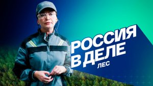 Лес. Россия в деле