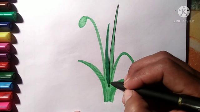 КАК НАРИСОВАТЬ ПОДСНЕЖНИК/HOW TO DRAW SNOWDROP/BOYCHECHAK RASMINI CHIZISH/СУРОТ ТАРТУУ/СУРЕТ САЛУ
