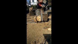 Гриб из бревна бензопилой