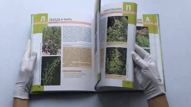 Лекарственные растения. Большая иллюстрированная энциклопедия