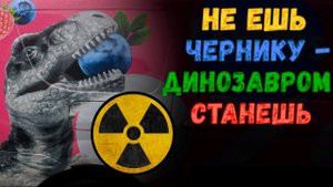 Радиоактивная черника от Wildberries. Замер радиации в чернике.mp4
