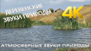 4K⚜️ Расслабляющие звуки деревени природа Карамыша