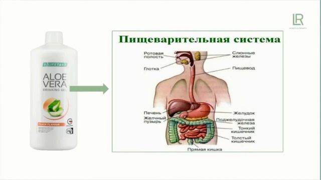 ПИТЬЕВОЙ ГЕЛЬ АЛОЕ ВЕРА ПЕРСИК ОТ КОМПАНИИ LR смотреть онлайн