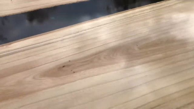 19 октября 2020 г. смотреть онлайн