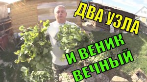 Два супер узла для банного веника Как сделать веник для парной