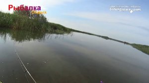 Достойная щука на головастик, Кондоль Чернушка