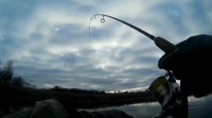 Щука осенью на реке Усманка