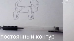 рисуем кота. этапы рисовки