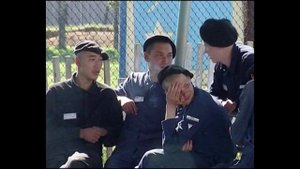 Что нужно знать новичку попавшему в тюрьму