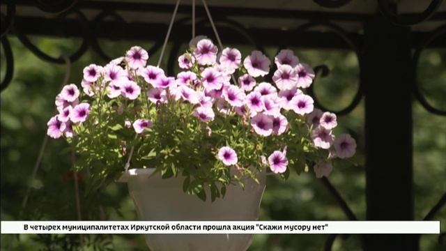 Иркутская здравница