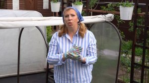 Для чего нужен почвоулучшитель и что нужно знать о гуминовых веществах и фульвовых кислотах