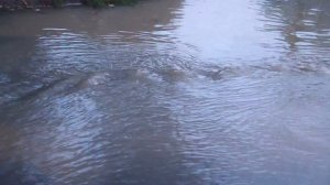 Прорыв канализации. Великий Новгород. 09.08.2021. У роддома на улице Державина