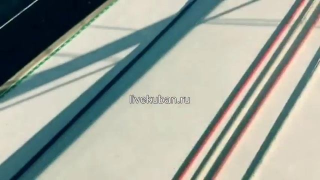 Стая дельфинов устроила шоу для жениха и невесты смотреть онлайн