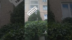 Почему интернет такой плохой!!!