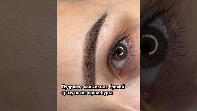 Современный перманентный макияж бровей на 2 года. Брови, которые не сотрутся .