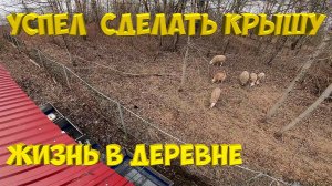 Успел сделать крышу ! [Жизнь в деревне]