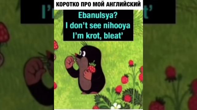 Ebanulsya? I don't see nihooya I'm krot, bleat' - Мультик крот и ежик (осторожно мат)