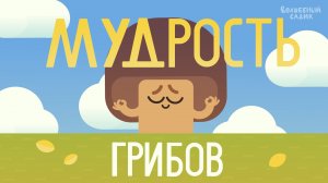 Мудрость грибов ? | ВОЛШЕБНЫЙ САДИК | Сезон 2