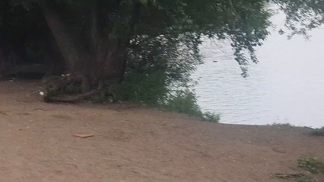 Пляжи Перми