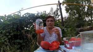 Сорт томата : Сердце Тибета. Обзор.