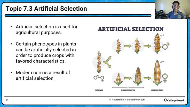 2022 Live Review 6 | AP Biology | Everything You Need to Know About Natural Selection: Part 1