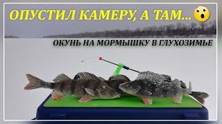 Окунь на мормышку в глухозимье. Опустил камеру, а там...Ловля окуня на мормышку.Рыбалка 2022..
